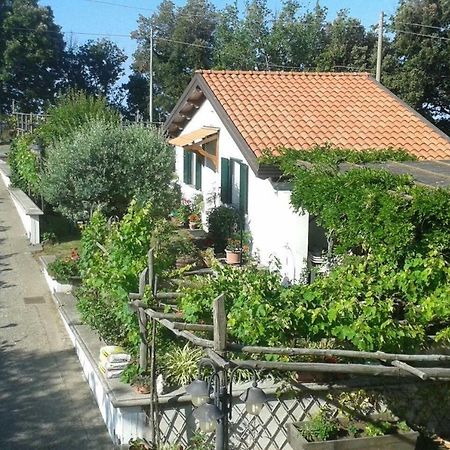 The Cottage Аджерола Екстериор снимка